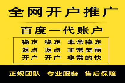 某某sem推广公司实战案例：精准投放提升转化率